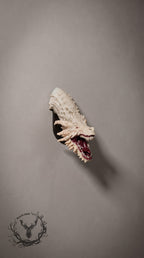 House of the Dragon Resin Magnet – Hand-Painted Collectible Dragon Refrigerator Magnets