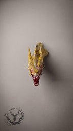 House of the Dragon Resin Magnet – Hand-Painted Collectible Dragon Refrigerator Magnets