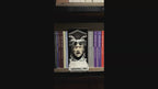 Back to the Future / Doc Brown / Bookshelf Figure / Book Holder / Collection / 21CM